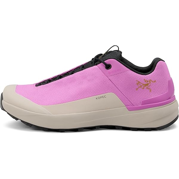 Amazon.com | Arc'teryx Aerios FL 2 GTX Shoe | Fast and Light Gore