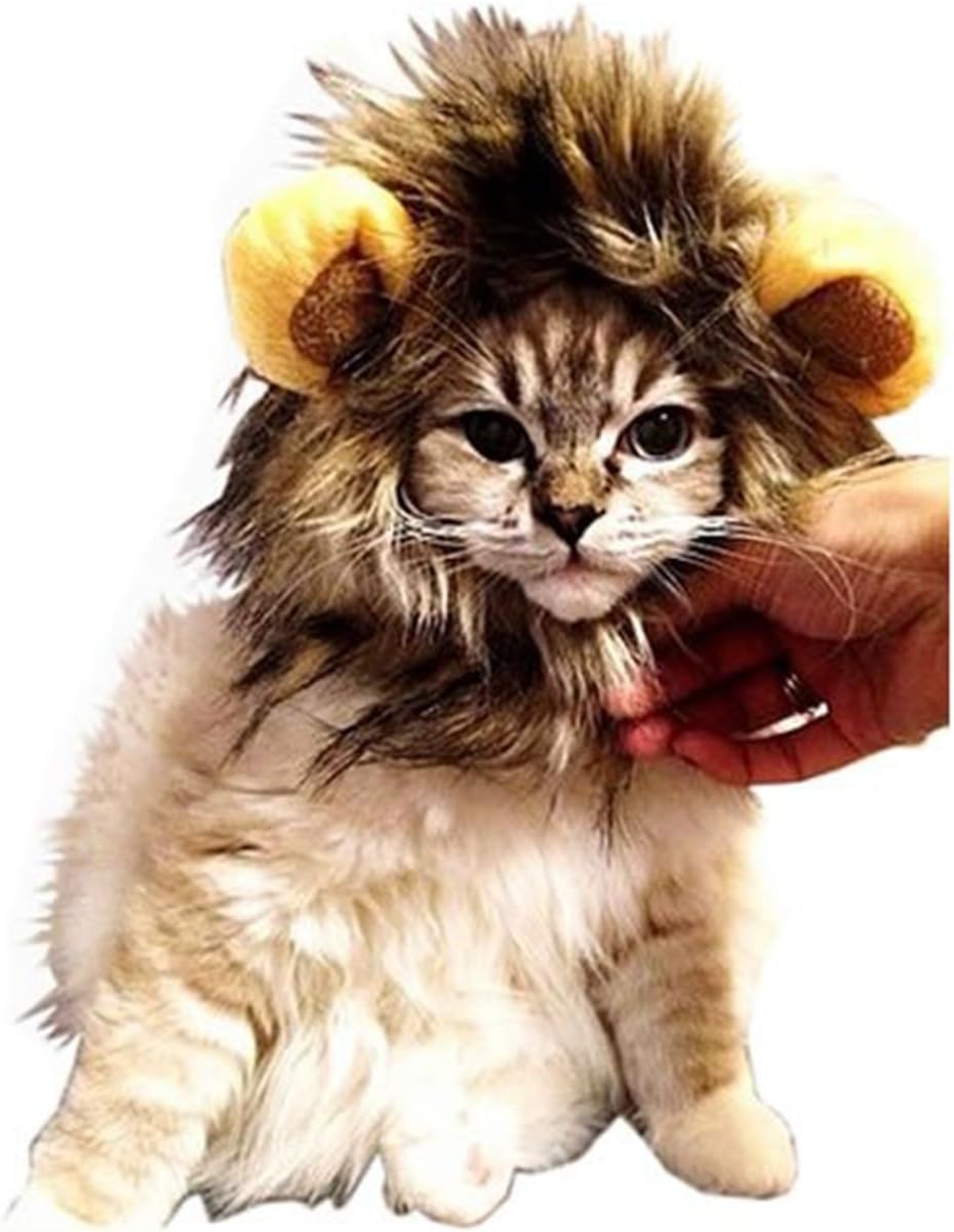 Mymei ライオンのかぶりもの ペット用 ライオンコスプレキャップ ライオンのたてがみ ベストチャンス 大変身 犬用コスチューム コスプレ グッズ ペッ 着ぐるみ 犬猫用コスプレ Mymei Voocye コスチューム 通販 Amazon