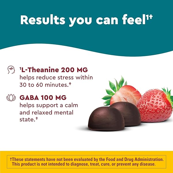 NATURE MADE WELLBLENDS STRESS RELIEF GUMMIES, L THEANINE 200MG TO HELP REDUCE STRESS, WITH GABA 100MG, SAME DAY STRESS SUPPORT, 40 STRAWBERRY FLAVOR GUMMIES