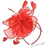 DRESHOW Fascinators Hat Tea Party Headwear Ribbons Feathers on a Headband and a Clip for Women