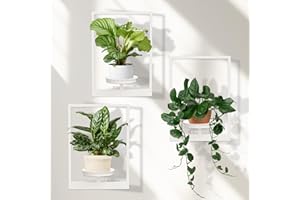 storenization Wall Planters for Indoor Plants, Window Plant Shelves Set of 3, Wall Plant Stand to Hold Large Pots - Premium M