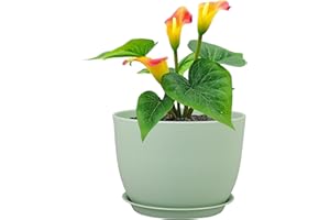 Meowell 12 inch Big Plant Pots, Plastic Planters with Drainage Holes and Trays, Flower Pots for Indoor Outdoor Plants, Modern Decorative Pots for Garden House Plants, Green
