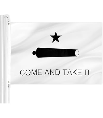 Men's "Come And Take It" Texas Flag Board Shorts - Quick-Dry Swim Trunks With Pockets