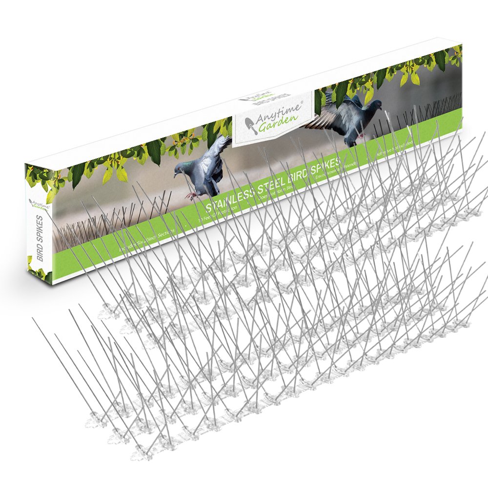 Buy ed Perfect Stainless Steel Bird Spikes, Durable Pigeon Repellent