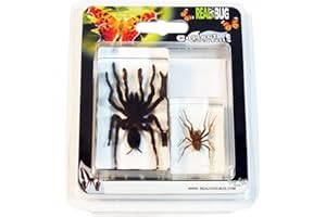REALBUG 2 Pc Tarantula & Spider Paperweight Collection