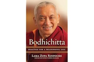 Bodhichitta: Practice for a Meaningful Life