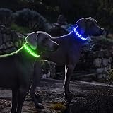 PcEoTllar Light Up Dog Collar Rechargeable Waterproof Adjustable Blue-L view 7