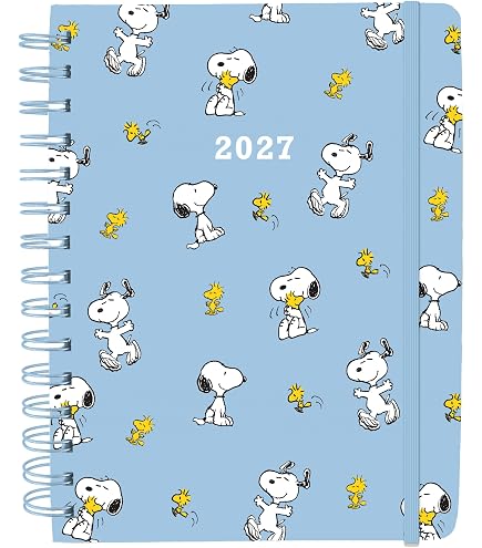 Amazon.com : Happy Planner Peanuts Disc-Bound 12-Month Academic