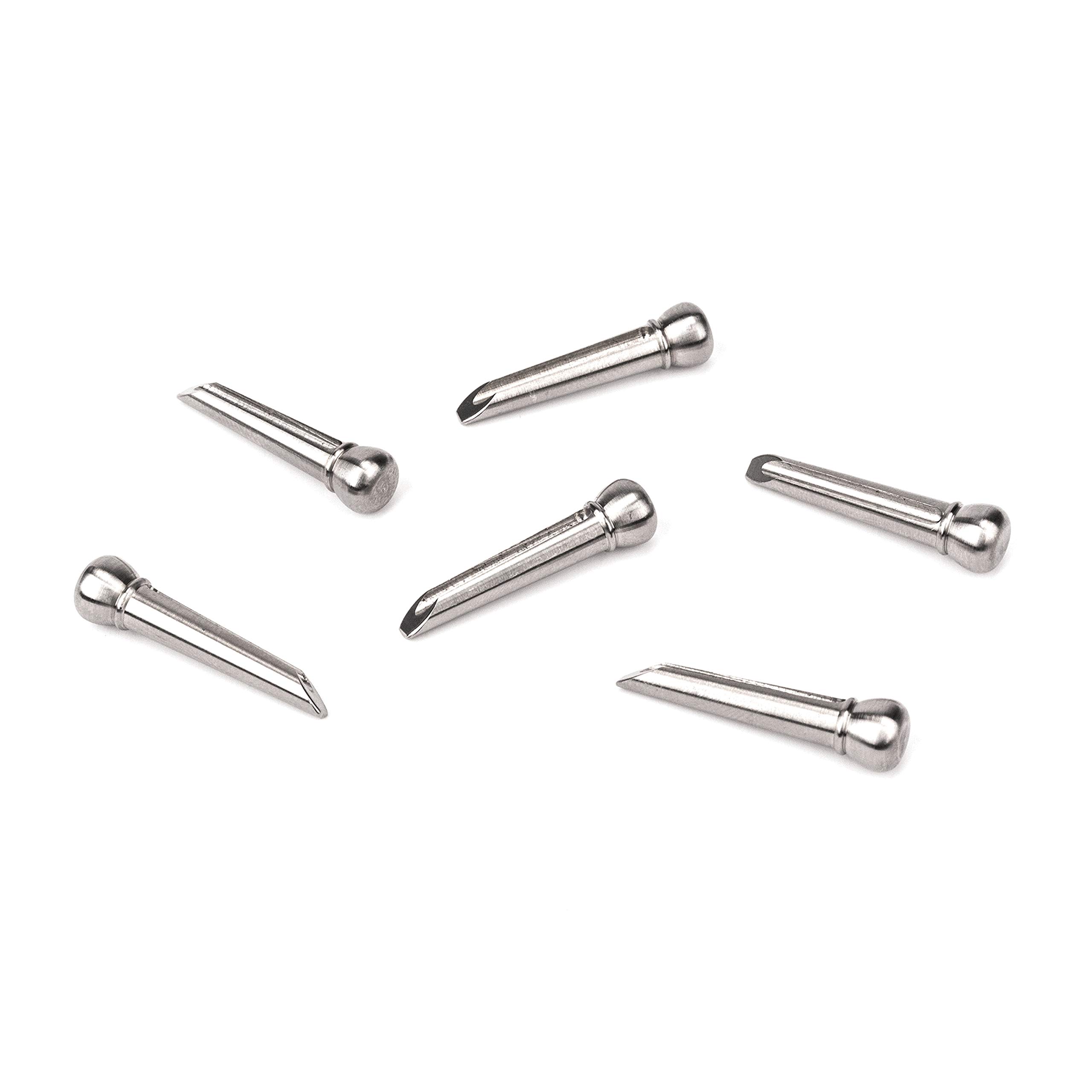 D'Addario PWPS13 Titanium Bridge Pins