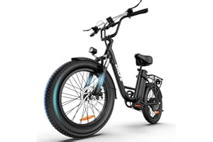URLIFE Electric Bike for Adults, 1000W Peak Motor Ebike, 28MPH, 48V 13Ah Removable Battery,80 Miles Max, 20" Fat Tire Electric Bicycle with Colorful Display, All-Terrain E-Bike for Adults and Teens