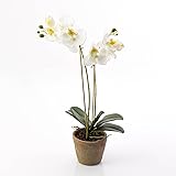 Künstliche Phalaenopsis Orchidee PABLA im Erdballen, weiß