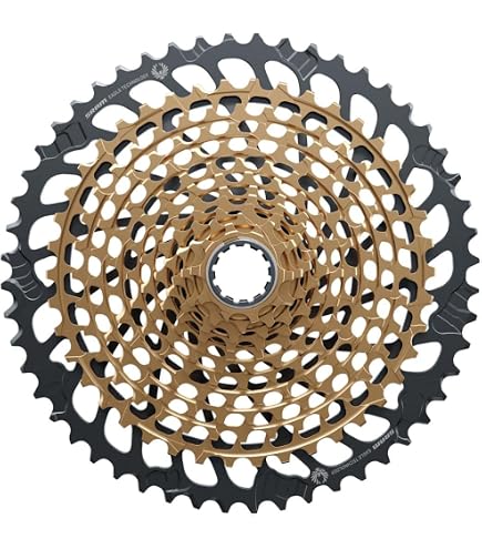 Amazon.com : SRAM GX Eagle XG-1275 Cassette - 12-Speed, 10-52t