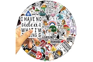 LOENENVE 100 Pcs Funny Stickers(Dirty) Waterproof Adult Sticker, Meme Water Bottles Stickers for Laptop IPAD Ebook Readers Journal Sarcastic Scrapbooking, Hard Hats Decals, Funny Sticker for Adults