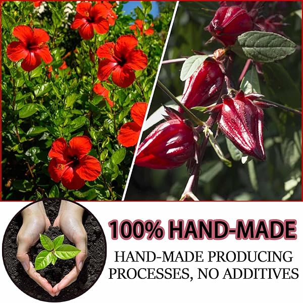 PREMIUM HIBISCUS TEA ORGANIC TEA BAGS, 100% NATURAL, HANDMADE, PURE FROM HIBISCUS FLOWERS, NATURAL & NO ADDITIVES, NO SUGAR/CAFFEINE/GLUTEN, VEGAN. (1)
