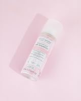 Brushworks Refresh Revitalise Floral Dry Shampoo 50ml Travel Size Oil Absorbing view 6