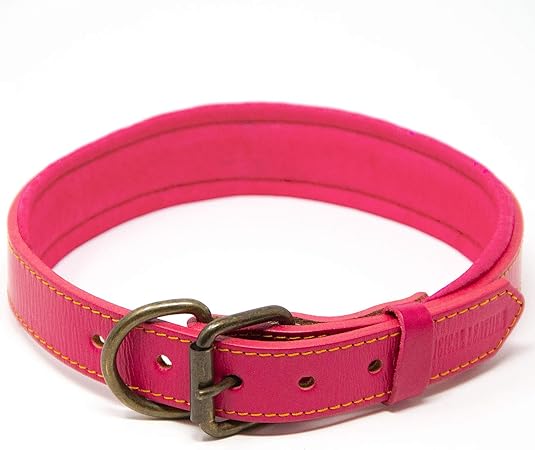 thick dog collars amazon