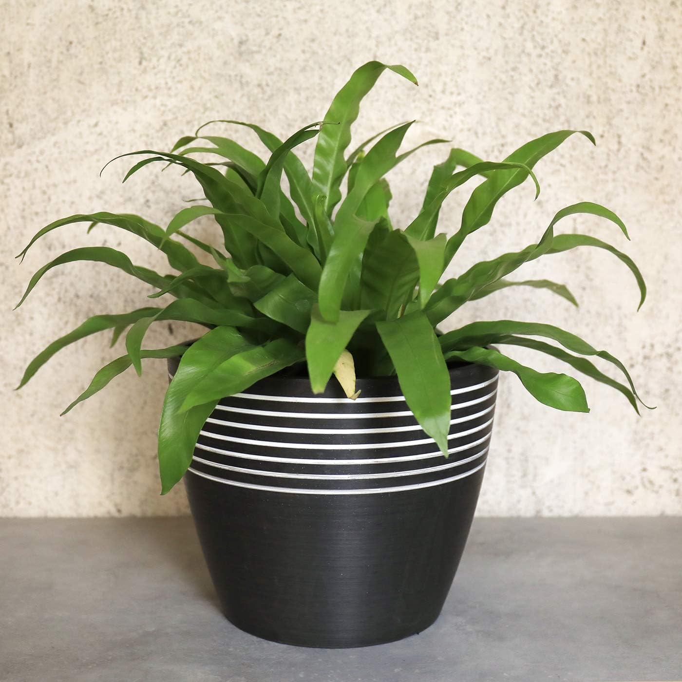 LA JOLIE MUSE Indoor Planter Flower Pot - Plant Pots for Indoor and Outdoor Plants, Contemporary Chic Planter with Stripe Pattern, 9.4 Inch, Charcoal & White : Garden & Outdoor