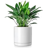 vancasso Ceramic Plant Pots, 8.25 Inch Ceramic Pot for Plants, Planters Pots for Indoor Plants with Drainage Holes, Flower Pot for Indoor House Plant, White