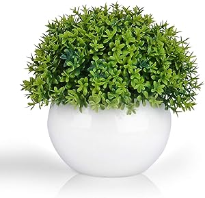 Mini Artificial Plant (5") in White Ceramic Pot | Decorative Faux Plant for Home/Office Decor | Small Potted Topiary | Farmhouse Decor Accent | Desk/Kitchen/Bathroom/Shelf Fake Plant (Green 3)