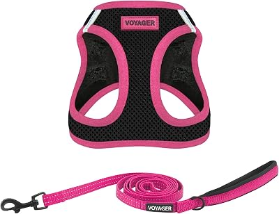 Voyager Step-in Air - Arnês de malha para todas as condições meteorológicas e trela refletora de 5 pés com pega em neoprene, para cães pequenos, médios e grandes, borda preta/rosa, tamanho S