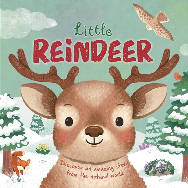  Little Reindeer 新品 Amazon.com: Merry Christmas, Little Reindeer: A Board Book (Baby