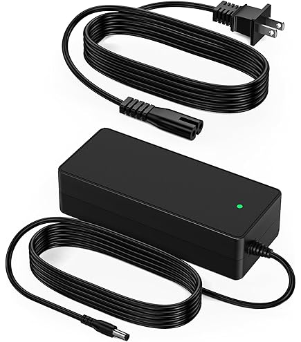 Amazon.com: saschedross 29.4V AC/DC Charger Replacement for i-100