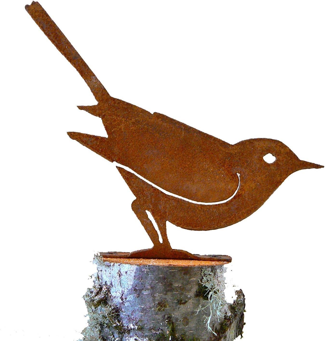 Brown Thrasher Bird Silhouette