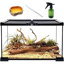 8 x 8 x 12 terrarium