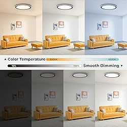 BLNAN RGB Led Flush Mount Ceiling Light with Remote