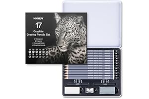 GENERIC HNIHUY Professional Sketch Pencils Set, 17 Pcs, Graphite Pencils (8B-4H), Erasers and Sharpener, Art Drawing Pencil for Artists Beginner Sketching