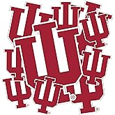 Desert Cactus Indiana University Hoosiers Bloomington Sticker Vinyl Decals Laptop Water Bottle Car Scrapbook Sheet T3 (Type 3-1)