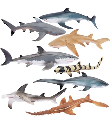 SHARK セット Amazon.com: Safari Ltd. Shark Bundle - Toy Figurines of