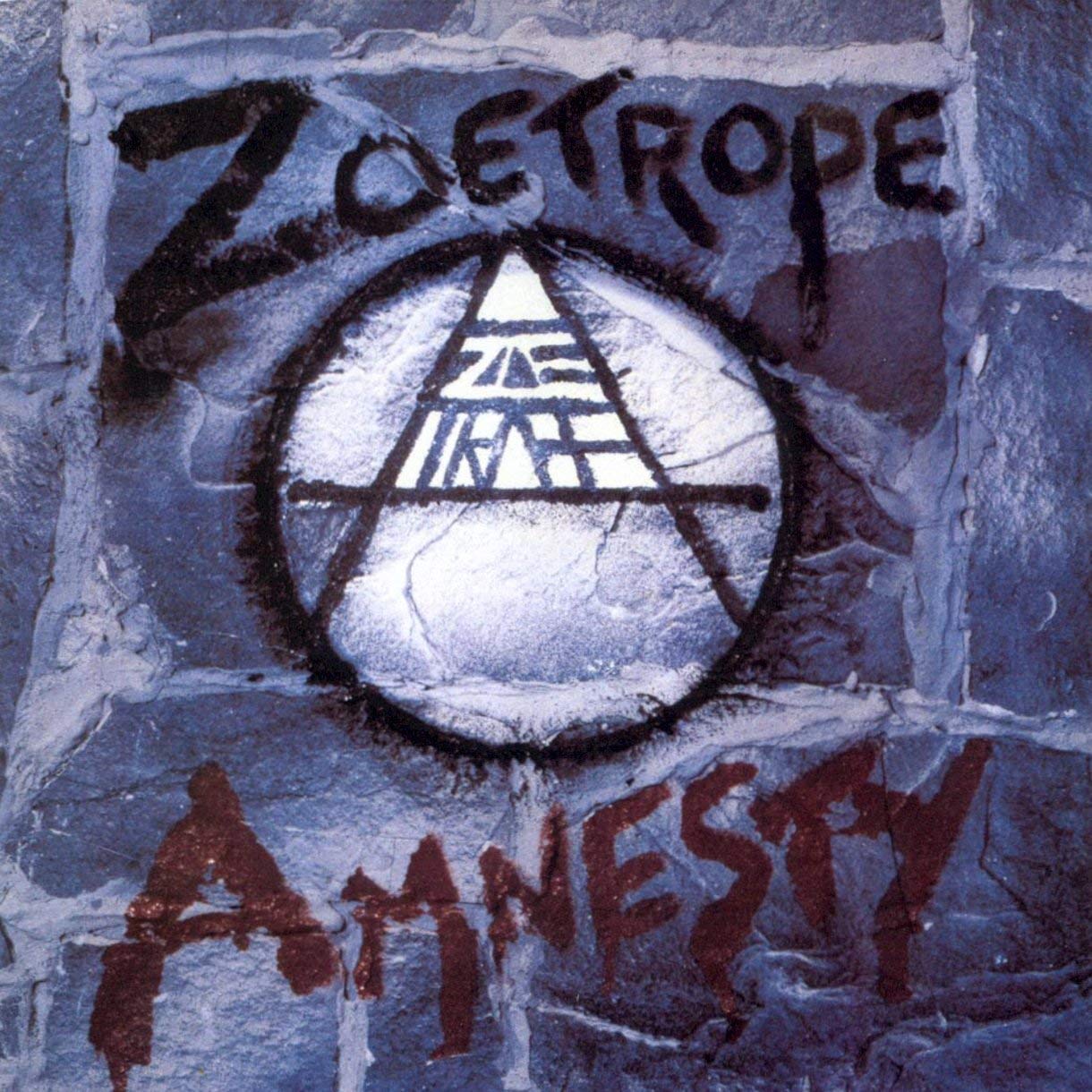 Amnesty [VINYL]