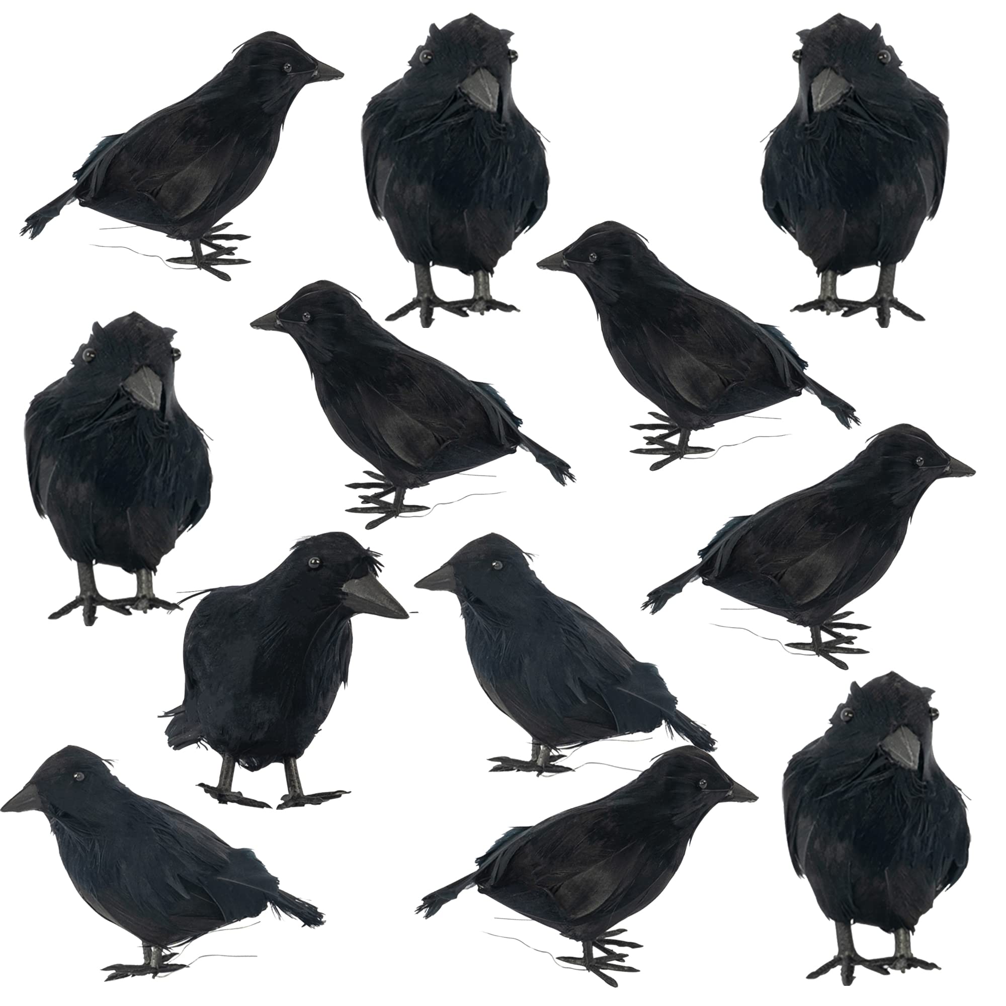 Dazzle Bright Halloween Black Feathered Crows Decor, Holiday Decoration for Indoor Outdoor Home Yard Garden Party Carnival Supplie (12 Pack)