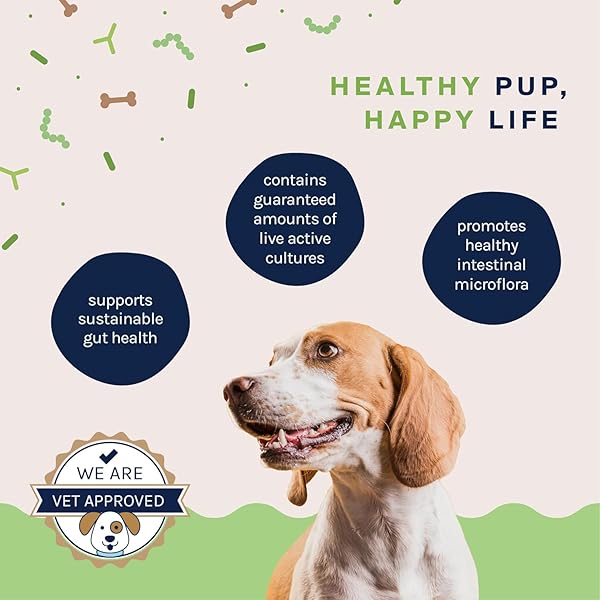 GOOD TROUBLE PETS PROBIOTIC SUPPLEMENT FOR DOGS – CHICKEN FLAVOR, 30 CHEWS – ENHANCED DIGESTIVE SUPPORT