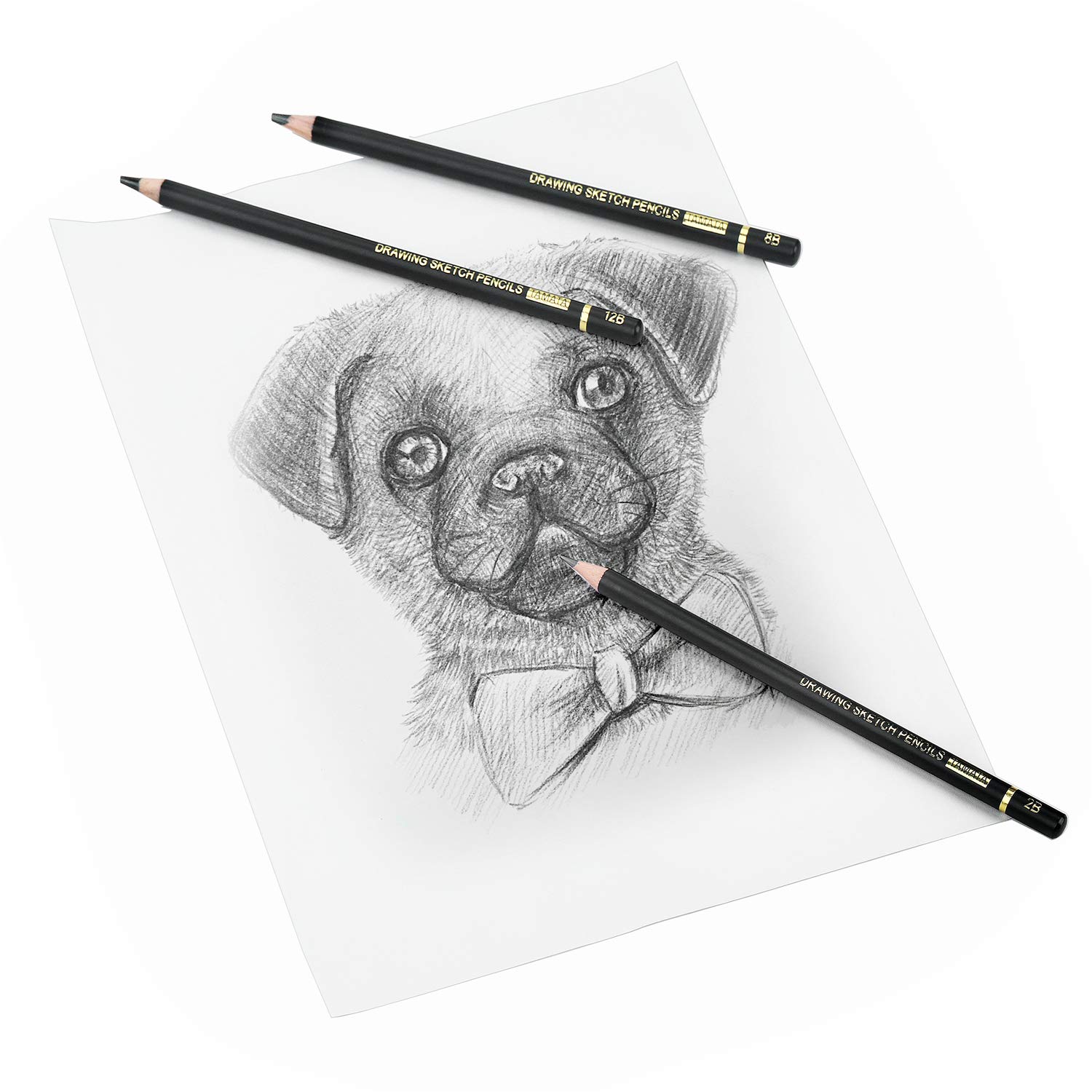 RVOGJP TAMATA Professional Drawing Sketching Pencil Set - 12 Pieces Art Graphite Pencils(12B - 4H), Ideal for Drawing Art, Sketching, Shading, for Beginners & Pro Artists