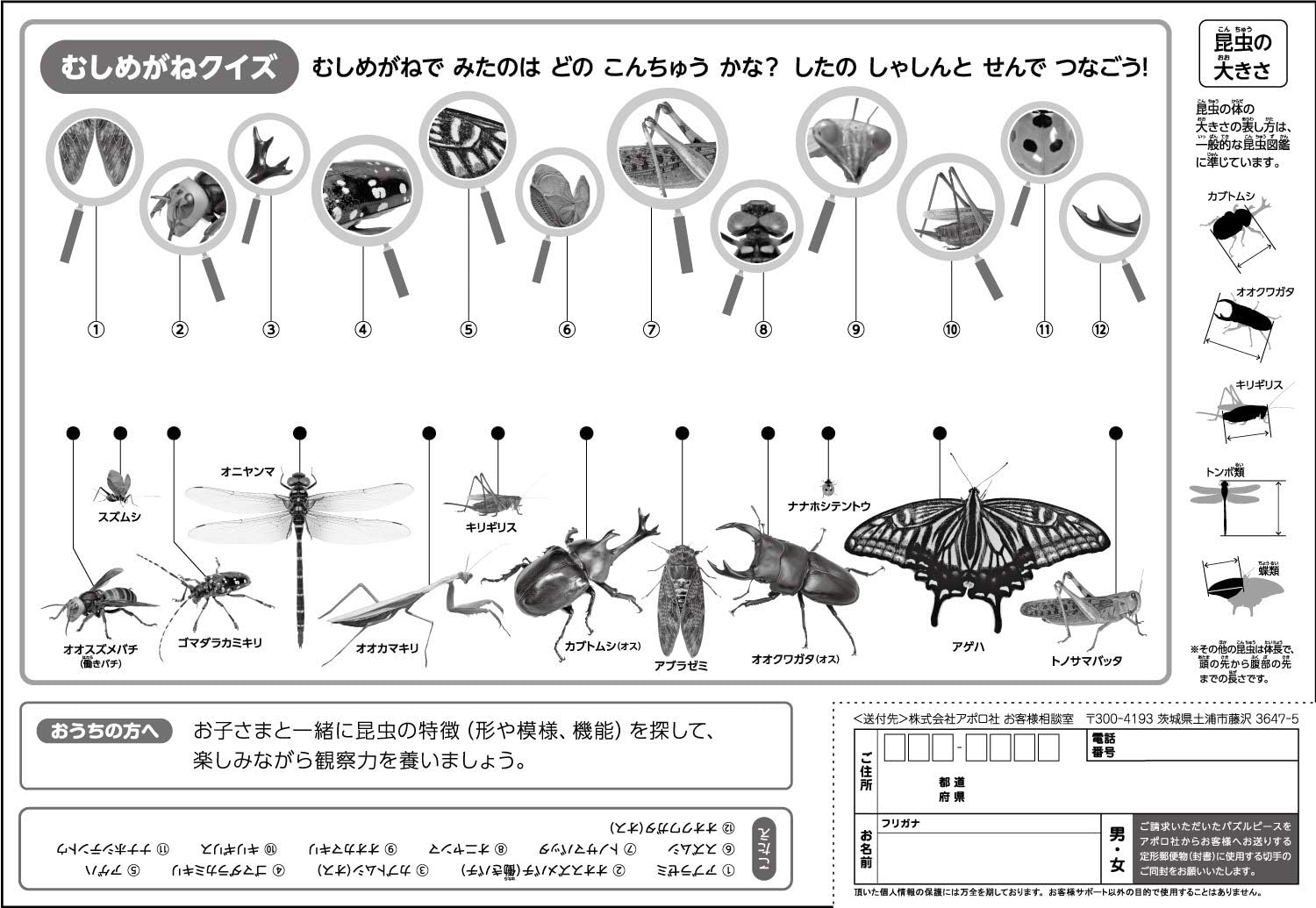 Amazon アポロシャ 子供向けパズル 日本の昆虫 35ピース ピクチュアパズル ジグソーパズル おもちゃ Amazon アポロシャ 子供向けパズル 日本の昆虫 35ピース ピクチュアパズル ジグソーパズル おもちゃ