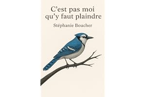 C'est pas moi qu'y faut plaindre (French Edition)