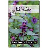 Sow Right Seeds - Heal-All Seed for Planting Self Heal Perennial Herb | Plant non-GMO heirloom medicinal selfheal wildflower in outdoor herbal tea garden. Edible wild flowers attract pollinators.