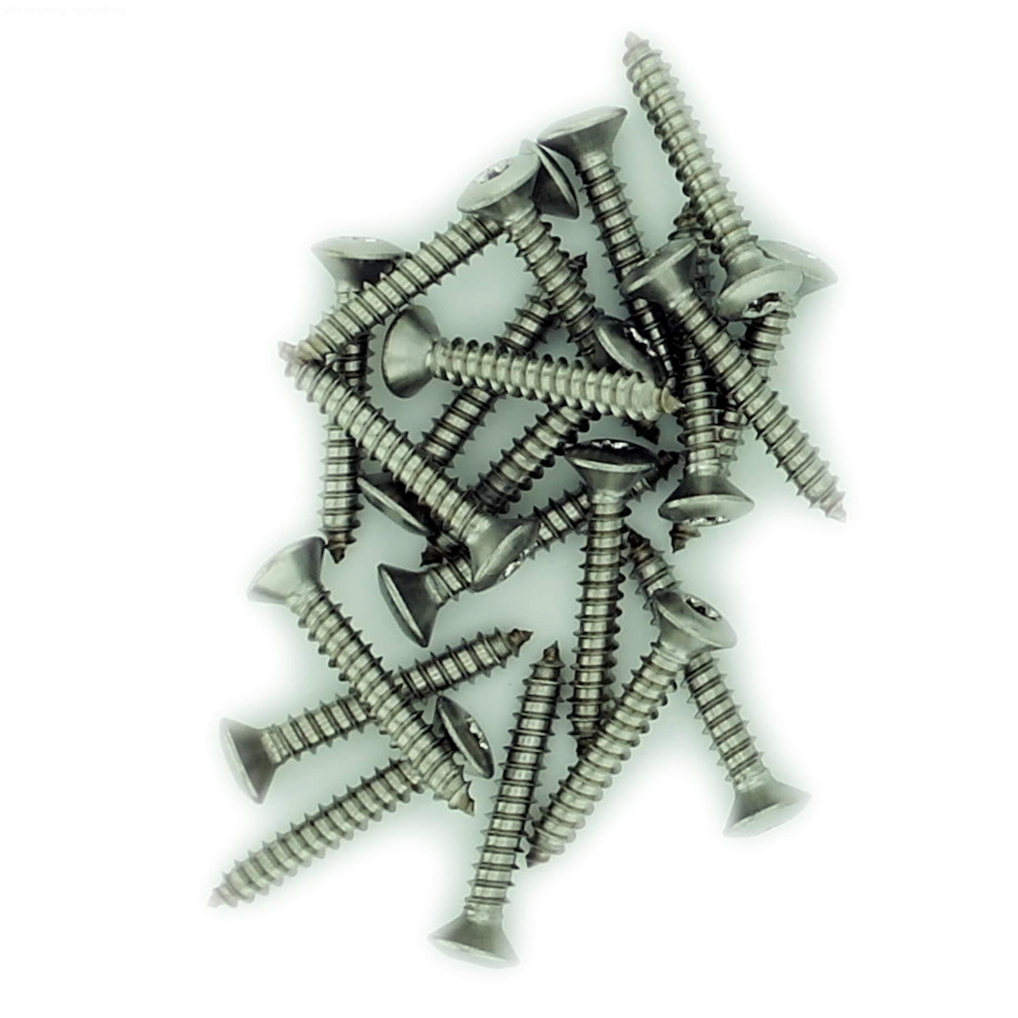 No.10 x 0.975 (4.8mm x 25mm) TX Raised Countersunk Self-Tapping Screw - Stainless Steel (A2) (Pack of 20)