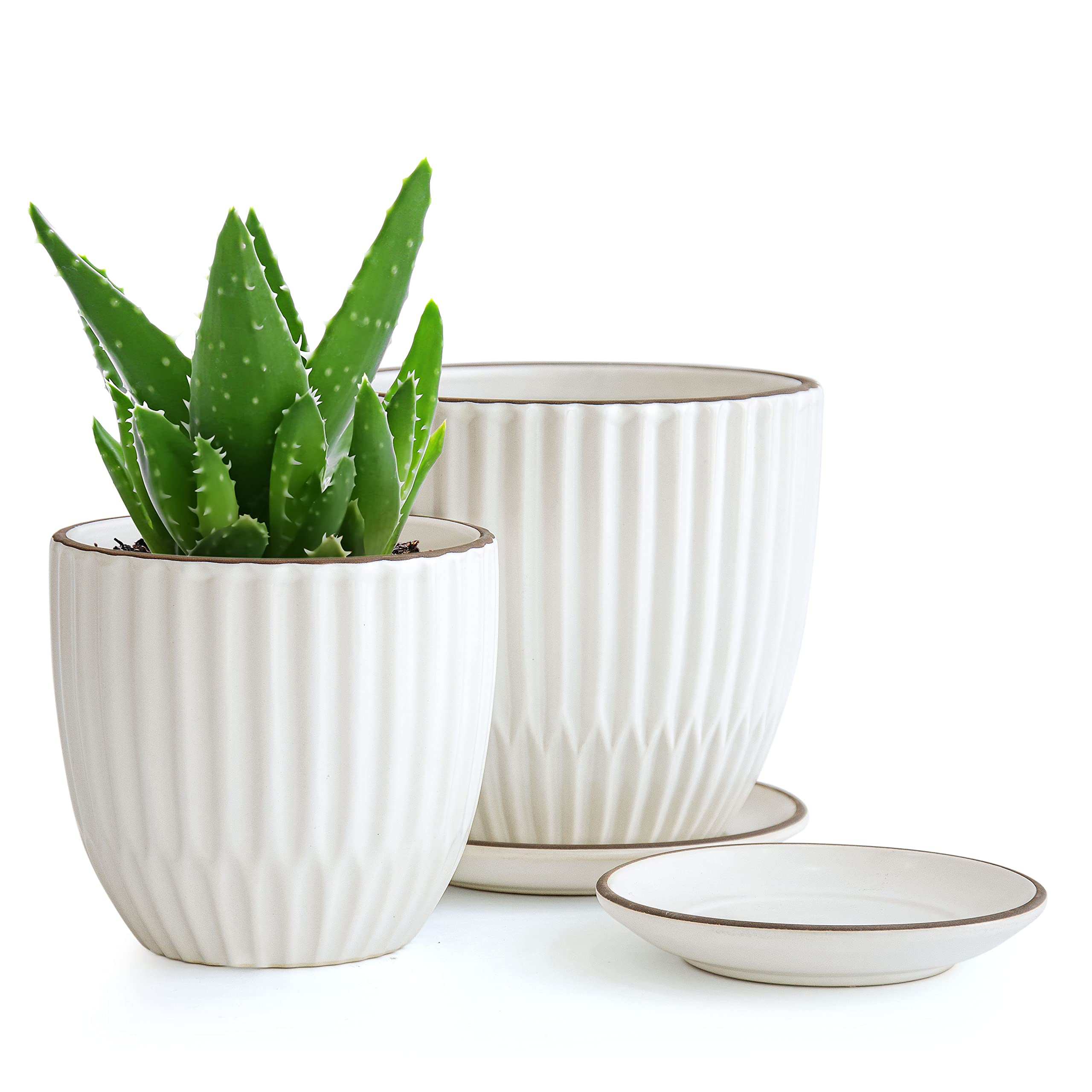 D'vine Dev Set of 2 Stoneware Planter Pots, Ceramic Pot with Drainage Hole and Saucers, 4.5 Inch 5.8 Inch, Ivory, 99-D-1