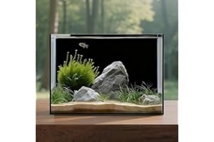 WONDERFACTORY 2.6 Gallon Glass Fish Tank Cube, Small Aquarium Fish Bowl for Betta Goldfish Snails Shrimp Aquatic Planting, Easy to Maintain Ultra Clear Rimless Design for Desktop Small Spaces