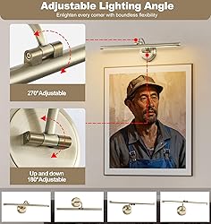 Tassuowell Hardwired Picture Light,24 Inch Dimmable