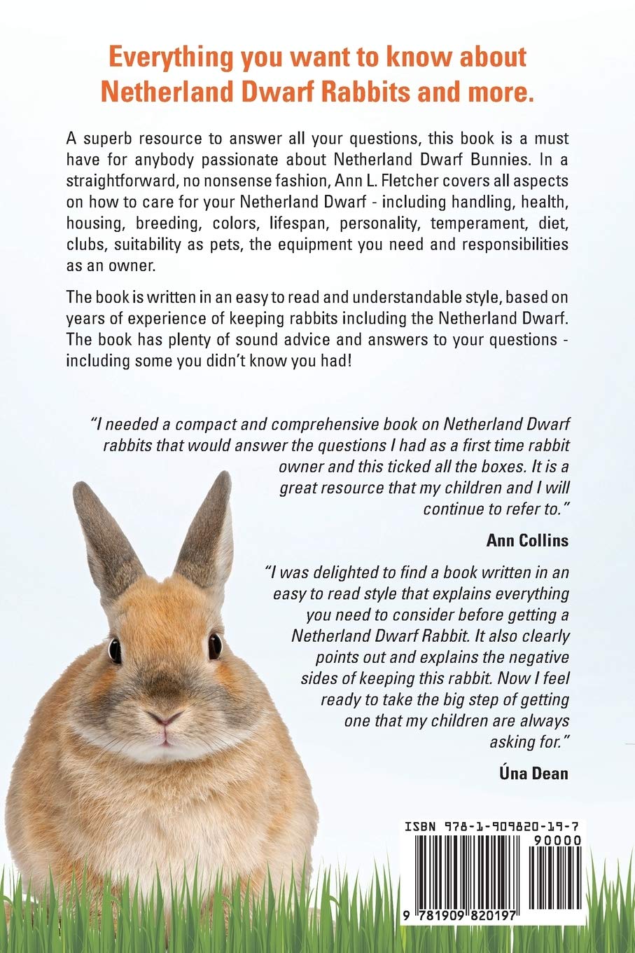 how to take care of a netherland dwarf rabbit