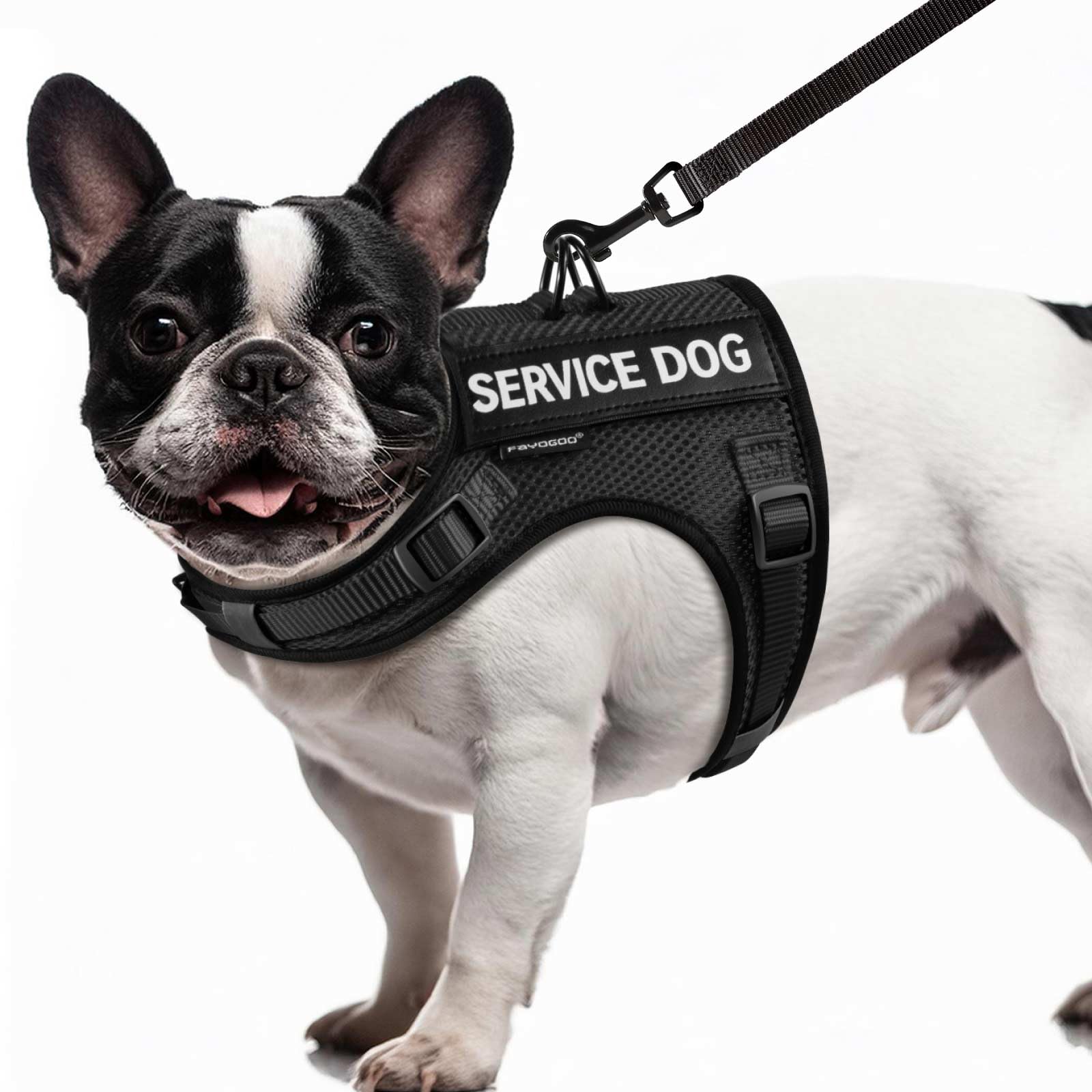 Photo 1 of FAYOGOO Service Dog Vest for Small Dogs - Air Mesh Breathble Emotional Support Animal Vest with DIY Removable Patches - Puppy Harness and Leash Set Adjustable Neck and Chest