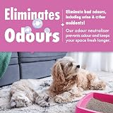 Dirtbusters Pet Pro Carpet Cleaner Shampoo 1L Summer Fresh Odour Neutraliser view 7