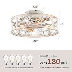 HUEOCZW 20" Caged Ceiling Fan with Light and