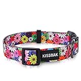 KISSBAK Dog Collar for Small Dogs - Special Design