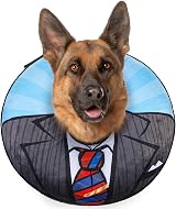 BEAUTYZOO Inflatable Dog Cone Collar Large, Soft Donut Neck Recovery