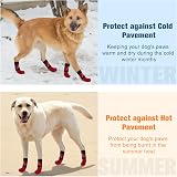 BEAUTYZOO Anti Slip Dog Socks 3 Pairs Large Paw Width 3" Non Slip view 3